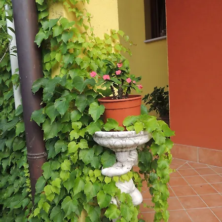酒店 Sile River Canton (Treviso)